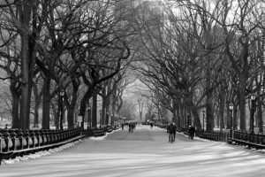 Snowy path in Central Park