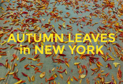 Autumn-Leaves-New-York