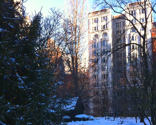 Gramercy-park-Tree-in-Winter